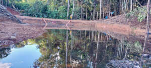 Matses fish farm in development