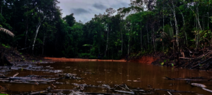 Fish farm in Matses village
