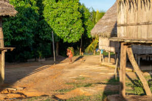 Matses community of Puerto Alegre