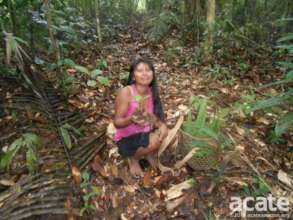 Collecting medicinal plants in the rainforest