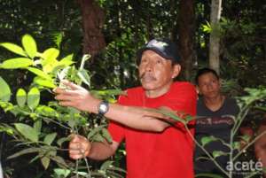 Lucho in Healing Forest in Remoyacu