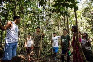 In the Healing Forest