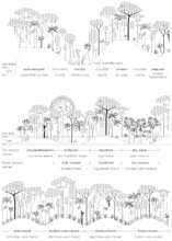 Matses traditional habitat classification system
