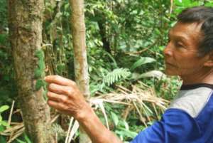 Cesar is a Matses expert on animal natural history