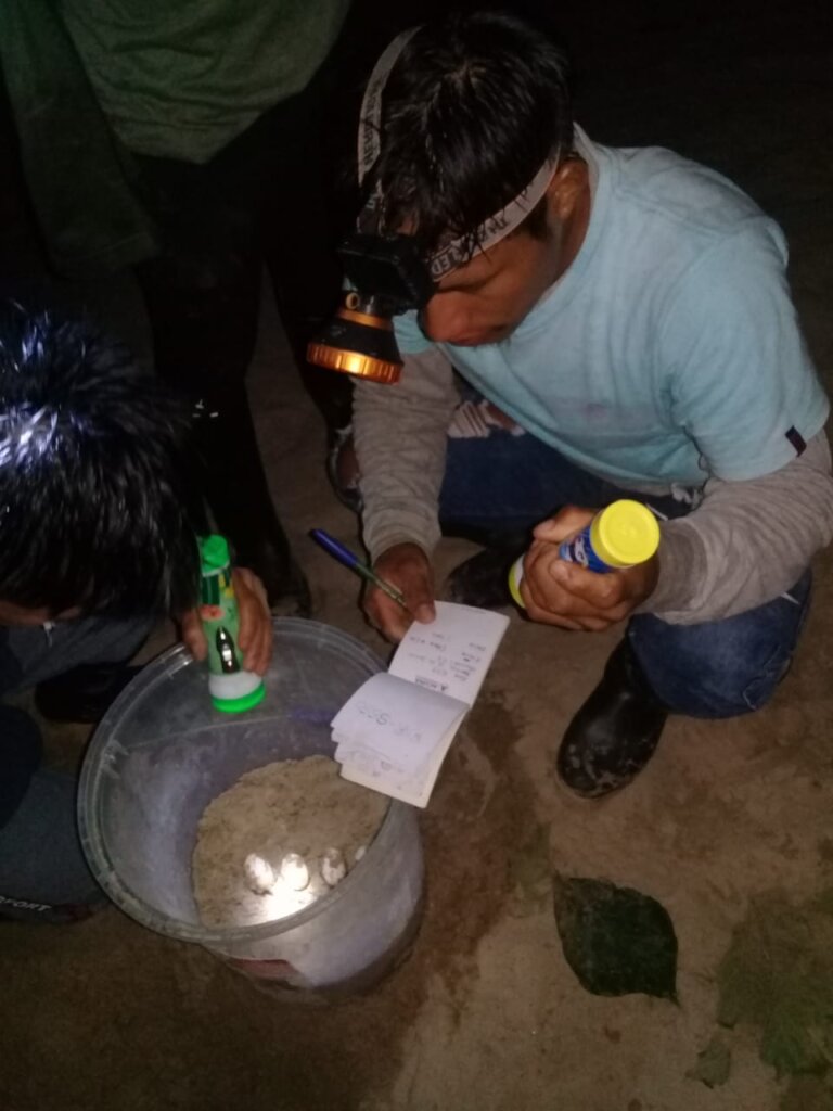Sustaining Matses Indigenous Medicine - Phase II