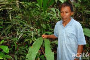 Cesar Canshe - animal natural history expert