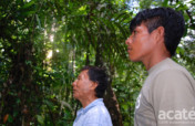 Sustaining Matses Indigenous Medicine - Phase II