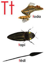 The Matses language has 15 consonants and 6 vowels
