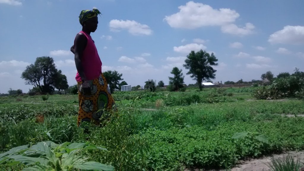Empowering Women and Rural Farmers in The Gambia GlobalGiving