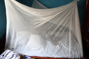Trying out the mosquito bed net