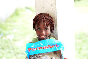 Help 200 families defeat malaria in Ikota, Nigeria