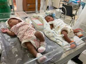 Premature twins