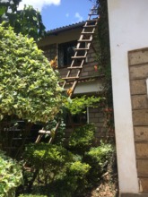 Need a ladder? Make one!