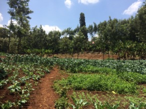 The farm at Consolata Girls Boarding School