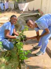 N learning to plant
