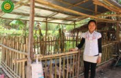 Provide 5 Microfinance Loans for Cambodians