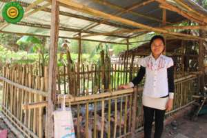 Provide 5 Microfinance Loans for Cambodians