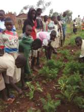 Youth planting seedlings in the garden