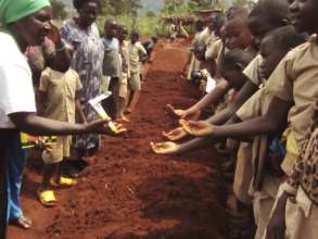 Youth eager for more seeds to plant