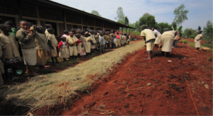 Youth adding manure to new garden at their school