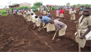 Youth preparing the soil to plant a new garden
