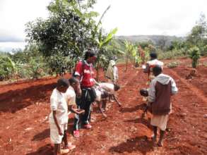 Planting Corn