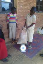 Learning math skills: Weighing beans from garden