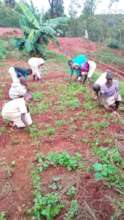 Students in their garden