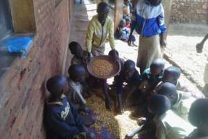 Students sifting beans from garden