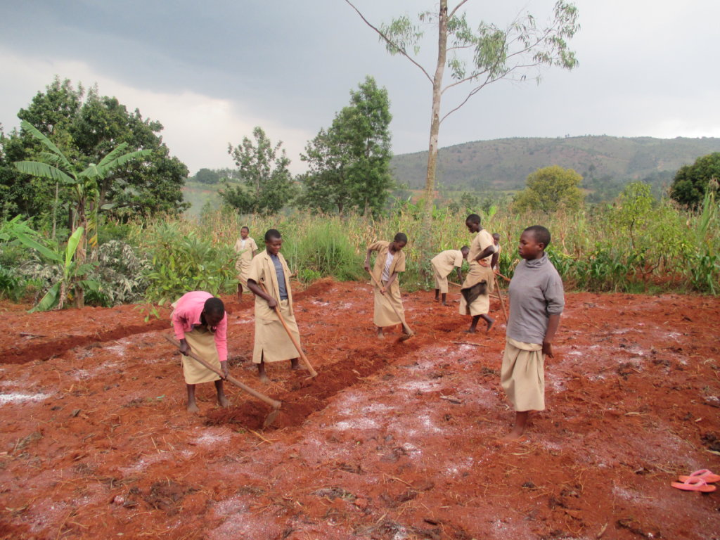 Build School Gardens for 1800 Youth in Burundi