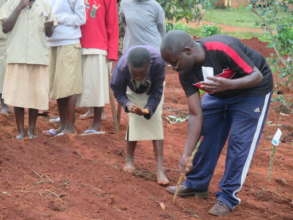 Youth planting seeds