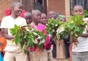Build School Gardens for 1800 Youth in Burundi