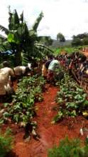Watering the Garden