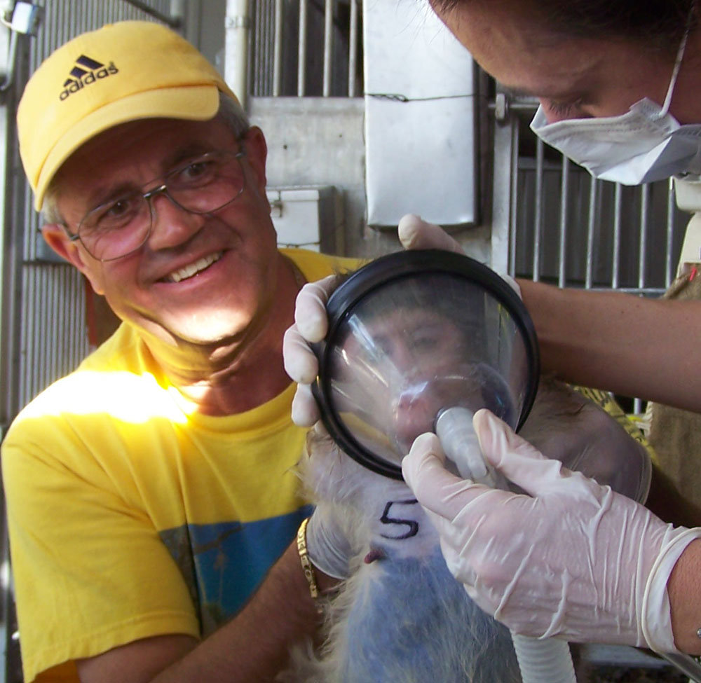 Help Rescued Monkeys in Arizona