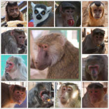 Your donation will change their lives!