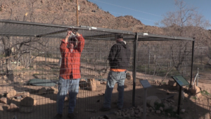 Old Habitat ( 10 ft. wide x 20 ft.  long x 7 ft. h