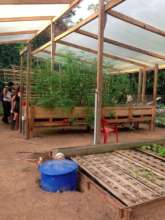 Student Hydroponics Garden