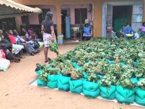 Free packs of food await the clients on Food Day