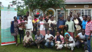 Beneficiaries recieve breeds of exotic chicken