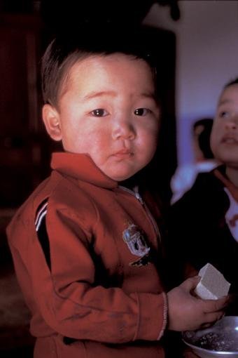 Help millions of North Koreans facing food crisis