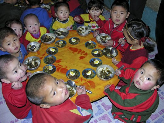 Help millions of North Koreans  facing food crisis 
