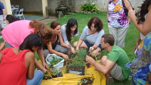 Vegetables offered by greenhouse recipient family.