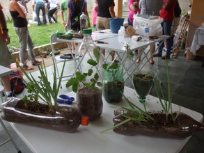 Different PET bottles gardening containers.