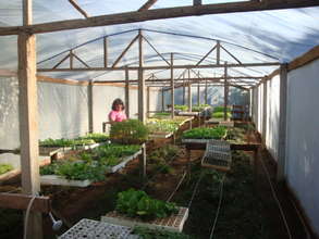 Denise and new greenhouse