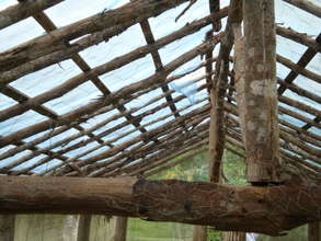 Inside old greenhouse 2