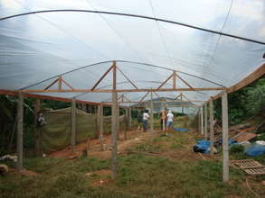 Greenhouse construction