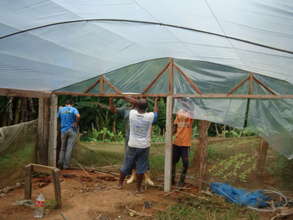 Greenhouse construction 2