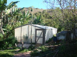 New greenhouse