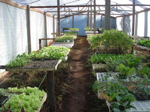 Inside new greehouse