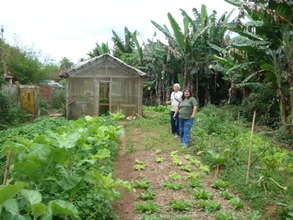 Old greenhouse
